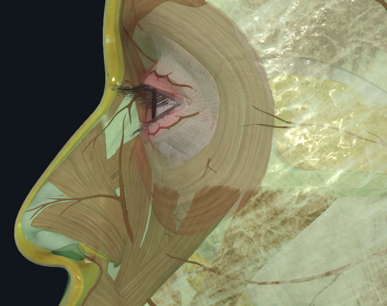 1758430590619