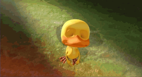 Duck crieeessss