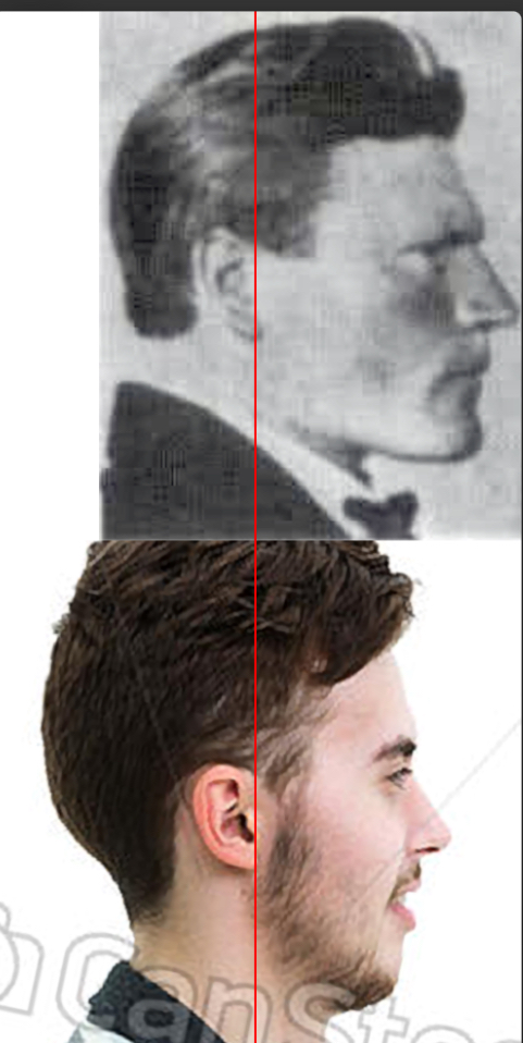 IMG 2535