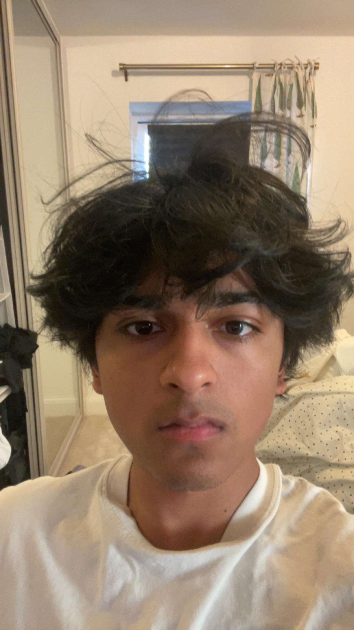 IMG 0357