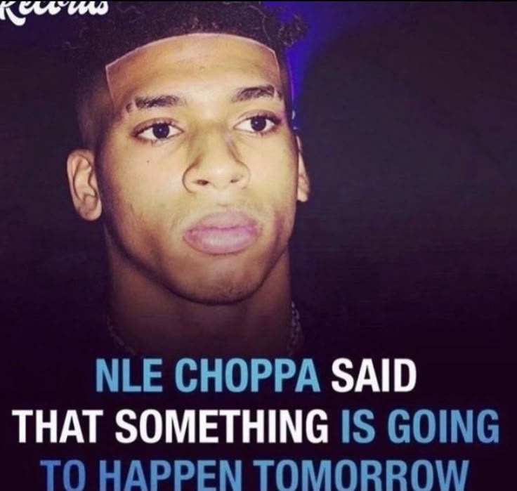 5355835 2244f87b4f8704ffe0178dcf141d5d0f