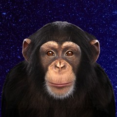 Avatars 000550489983 t4gjid t240x240