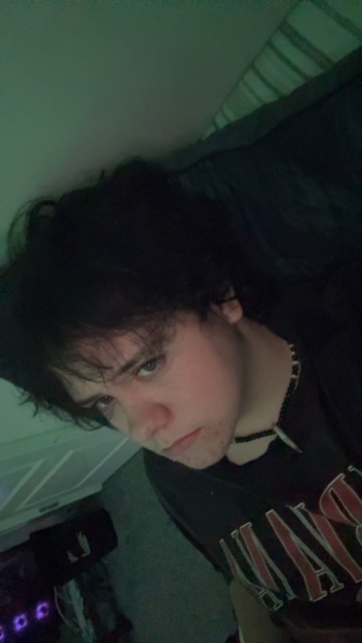 IMG 1337