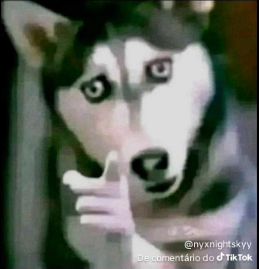1758185800646