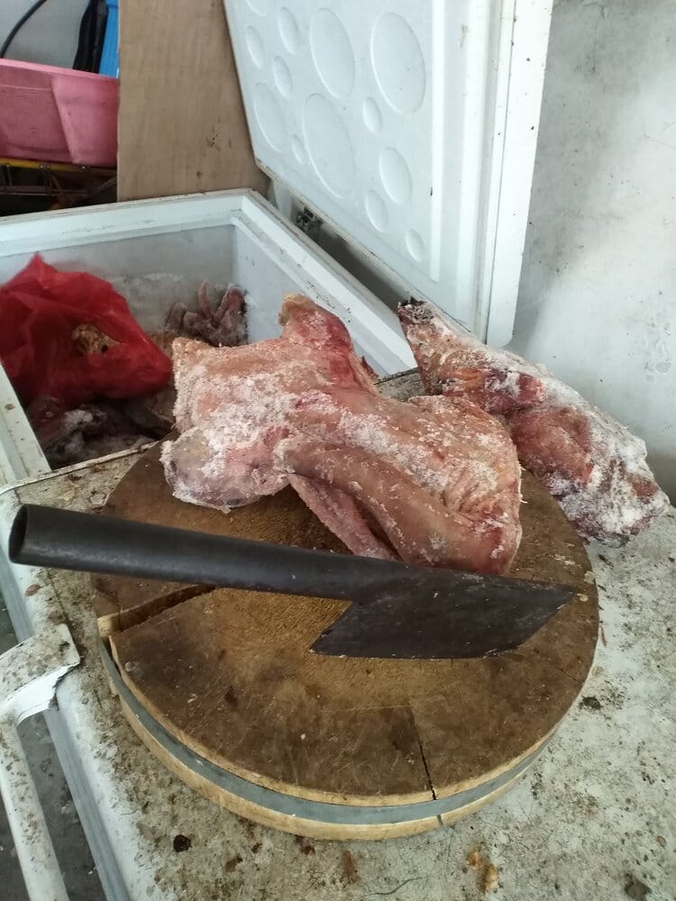 2295737 IMG 20210302 133926