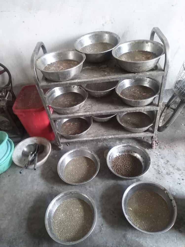 2295739 IMG 20210302 152251