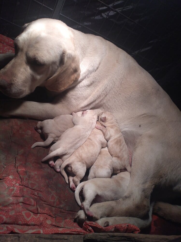 2295973 IMG 20210304 075831