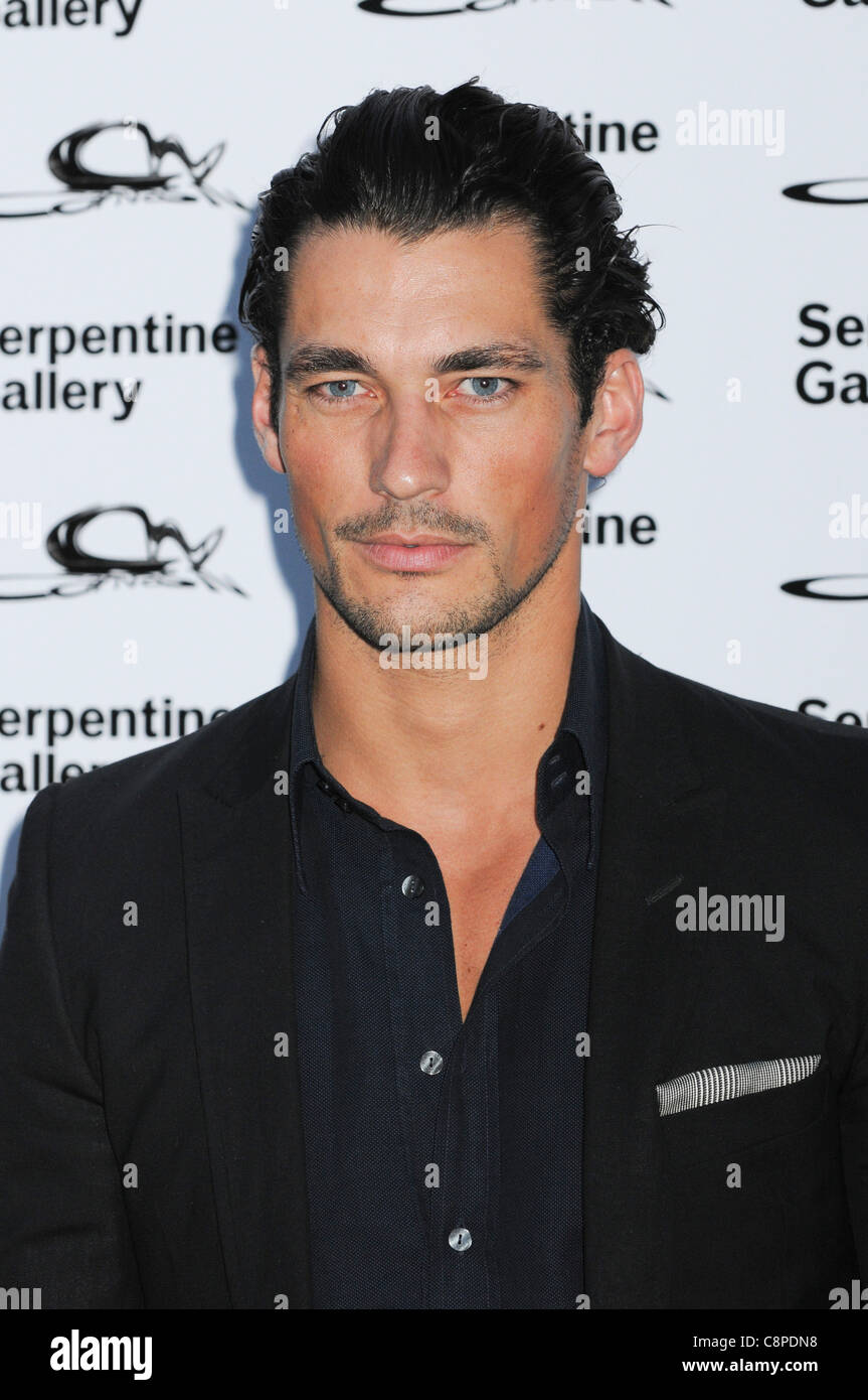 David gandy attends the serpentine summer ball hyde park london 9th C8PDN8 2708118925