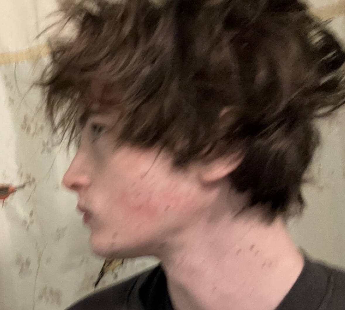 IMG 2517