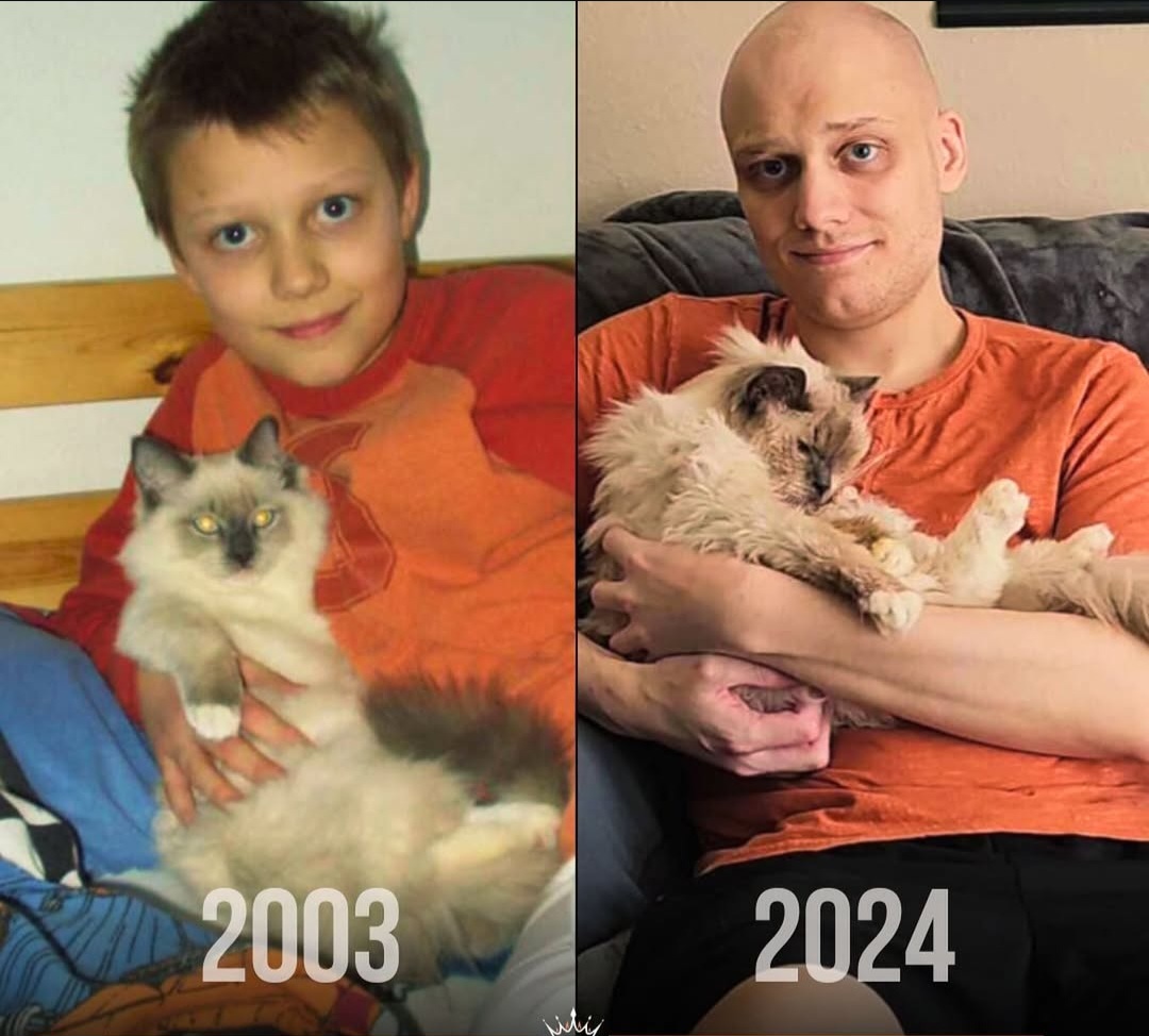 Screenshot 20250925 113950 Instagram