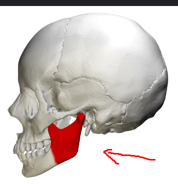 Screenshot 175 Screenshot 175