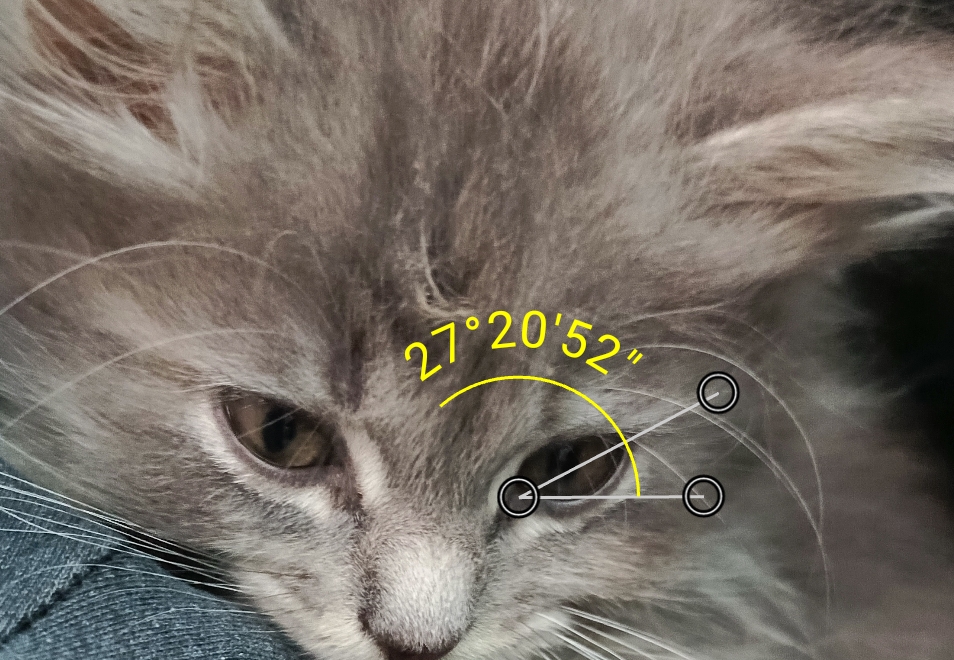 Screenshot 20250926 101527 Screenshot 20250926 101527