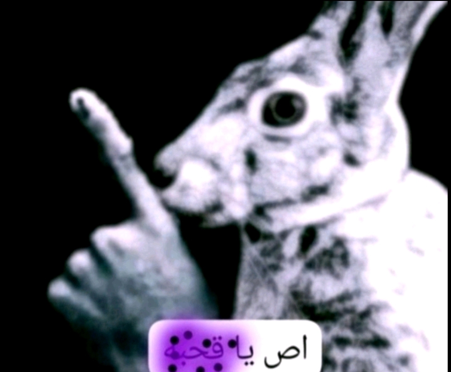1000150389