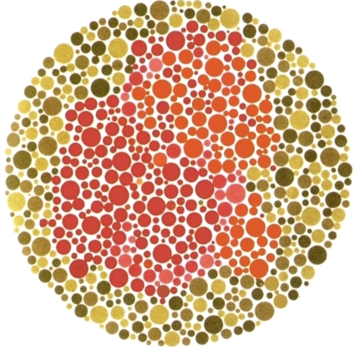 1000007817 1000007817