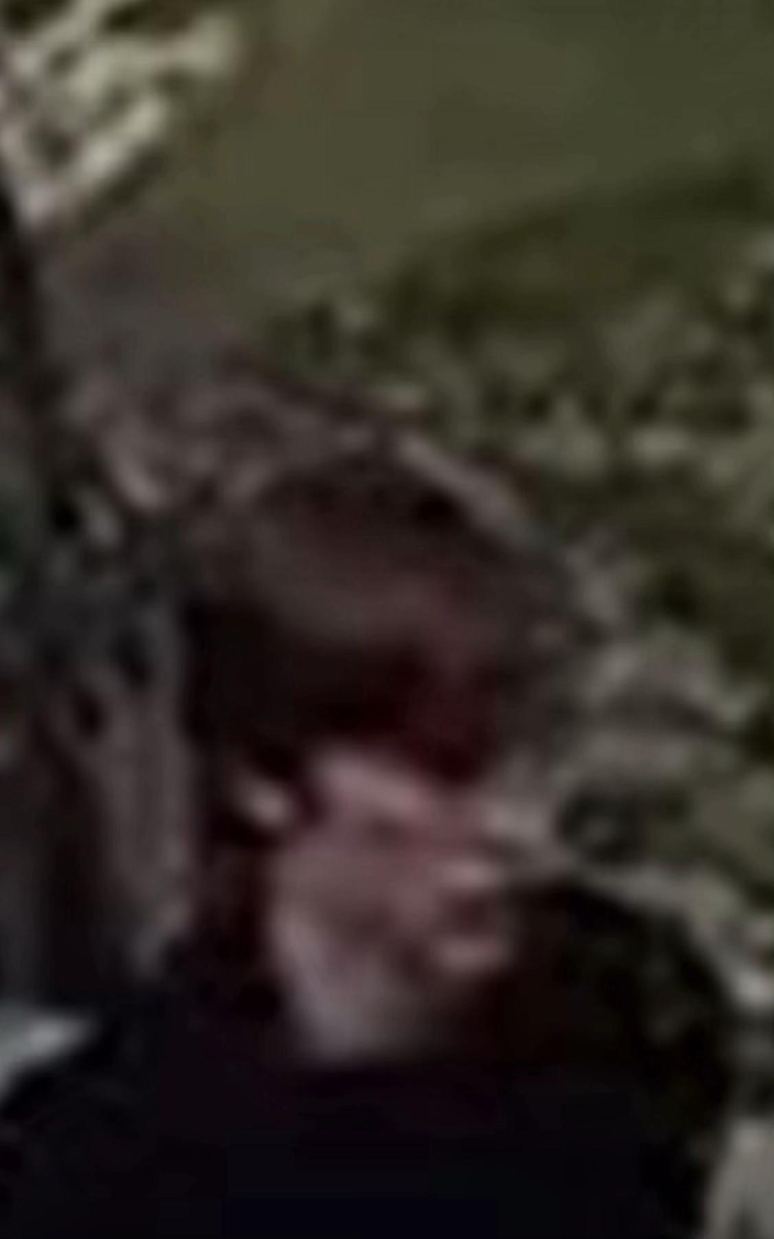 Snaptik 7542144978353491222 5