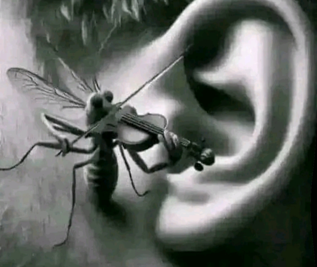 1000027793 1000027793