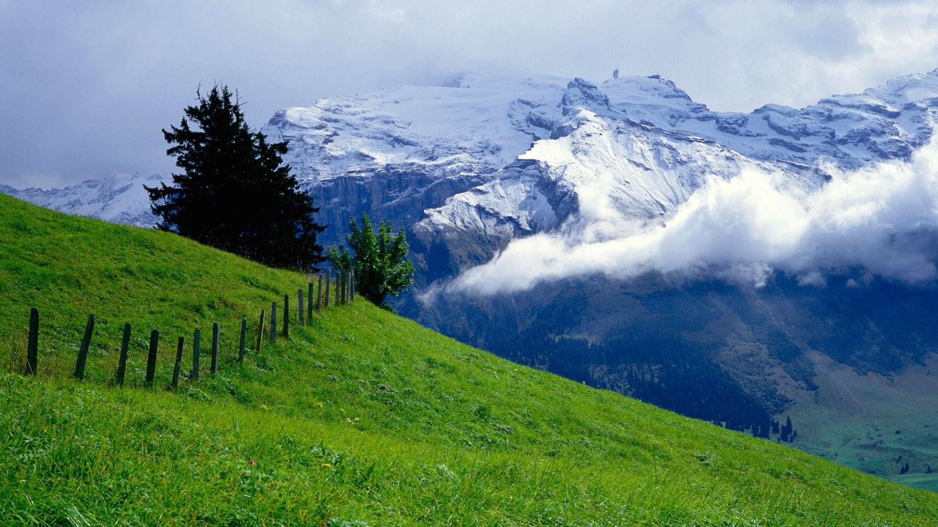Backiee 65496 landscape