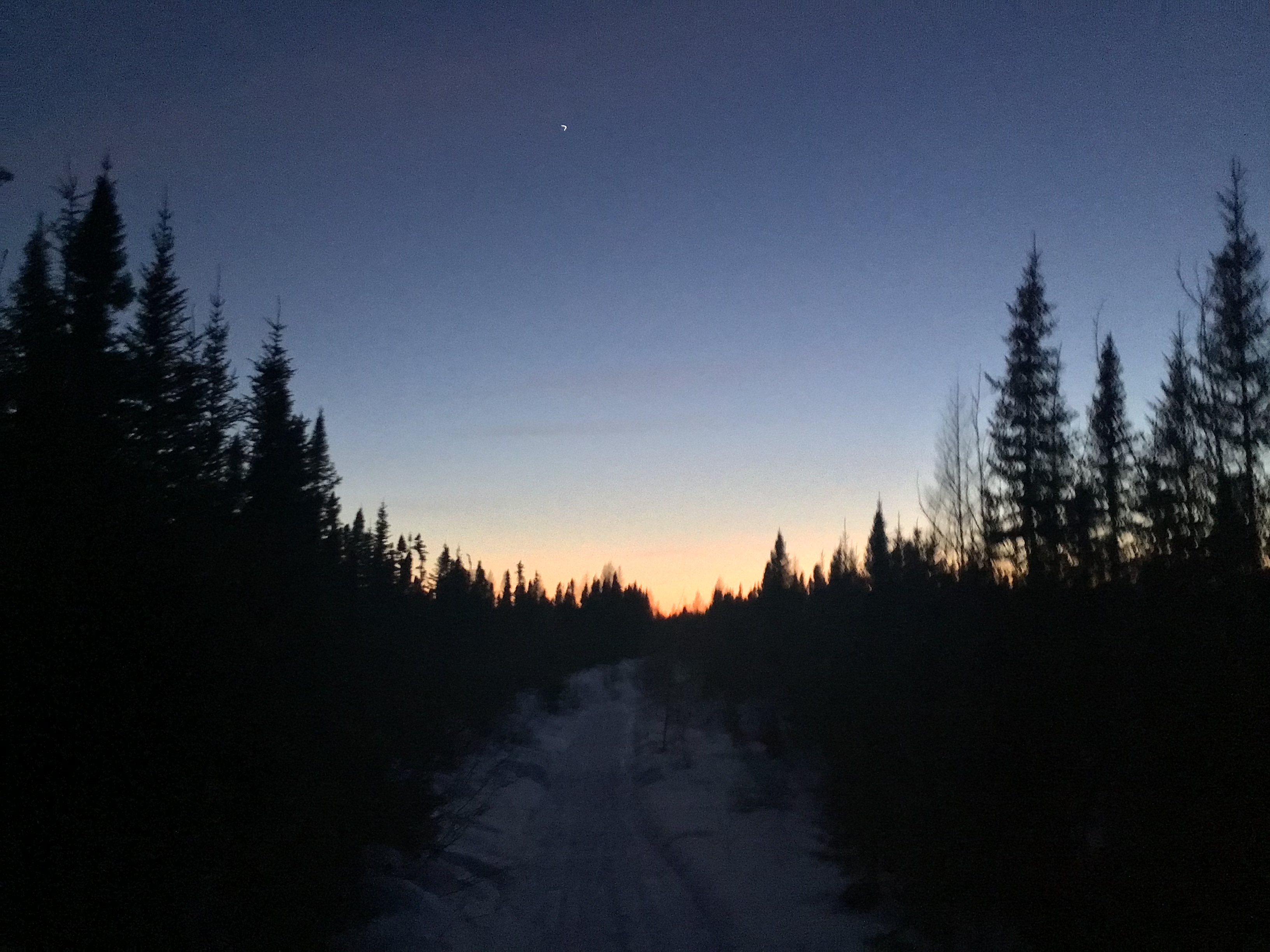 36477BA7 03FA 41DE 8A21 9A629686FEBD