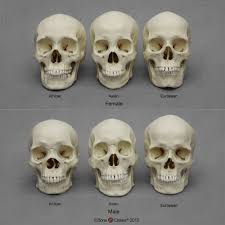 Images