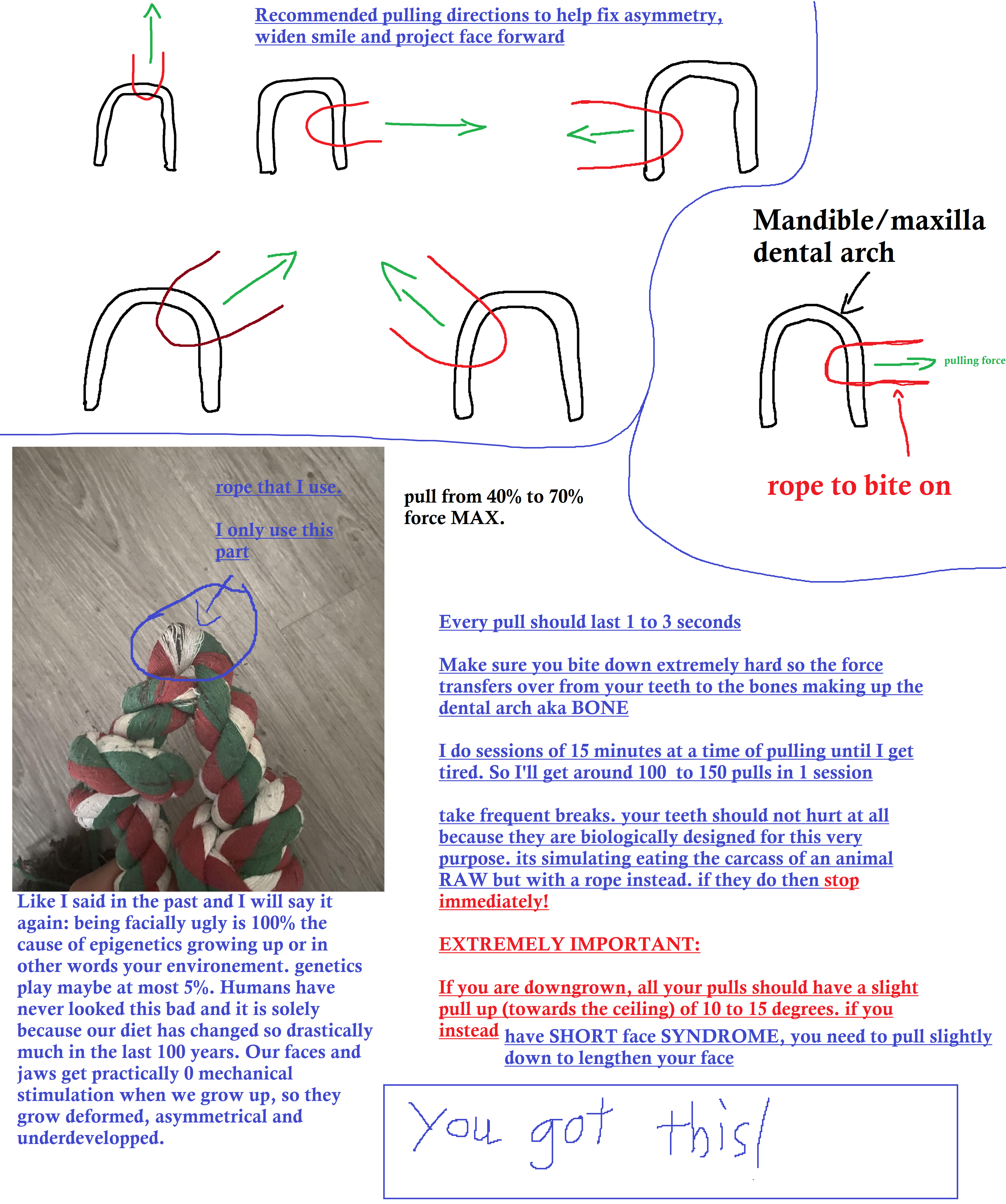 Directional dental arch
