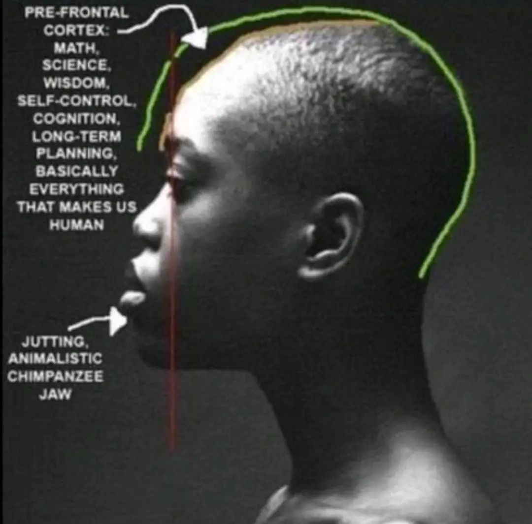 Fc9262c113d447db885c36596c261761tplv jj85edgx6n image origin