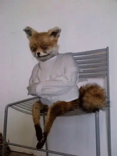 Fox straitjacket 1