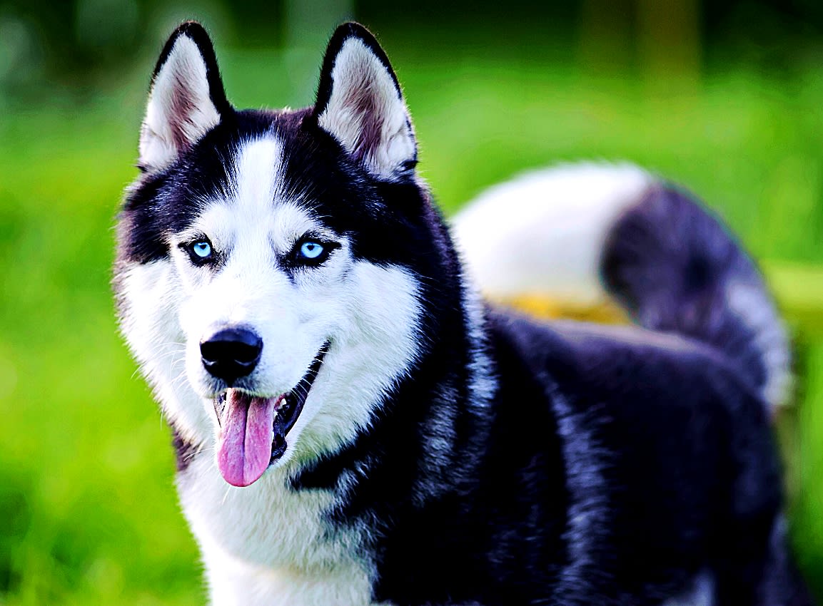 1759144654125 1759144654125