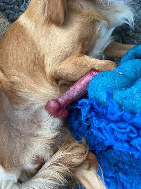 1759144743095 1759144743095