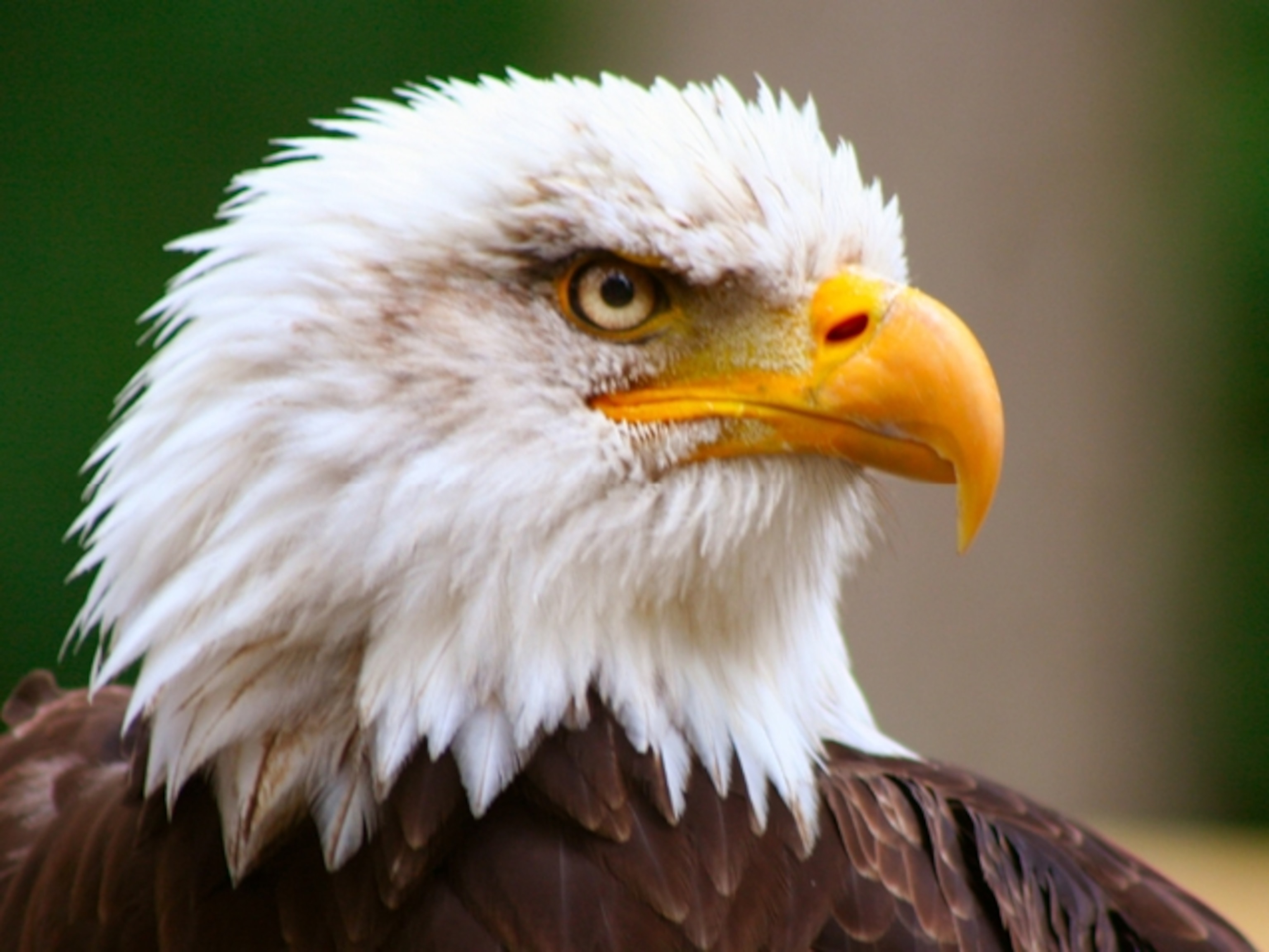 F9347B52 5489 435D B632 3E2BE0CAB8E8