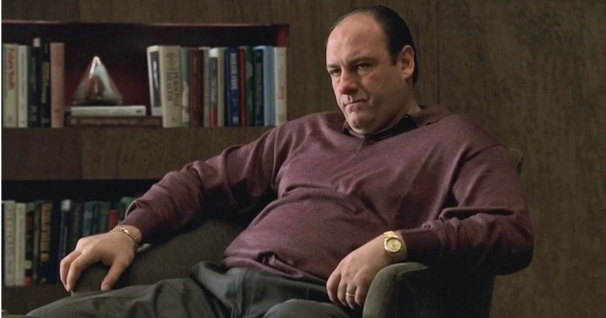 Tony soprano the sopranos Tony soprano the sopranos