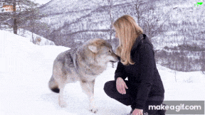 Ezgif 7435e5b4366b3a