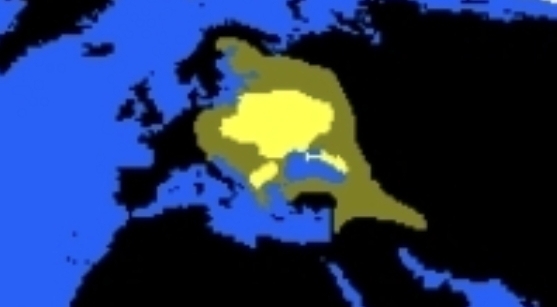 1000017067