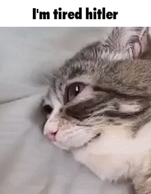 Tired fr