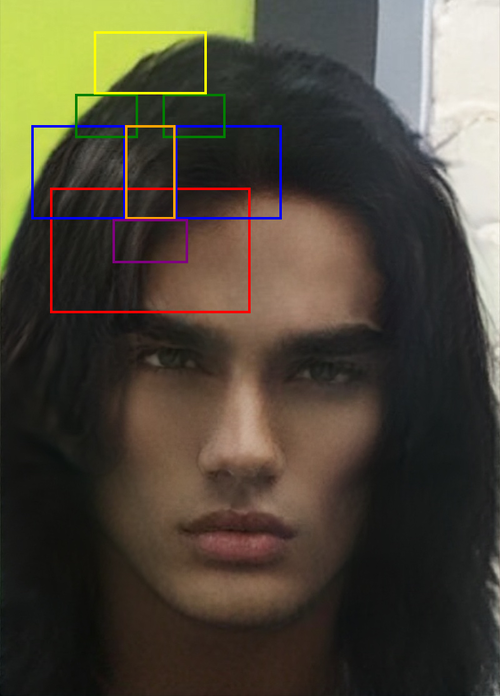 morphed_face_annotation.png