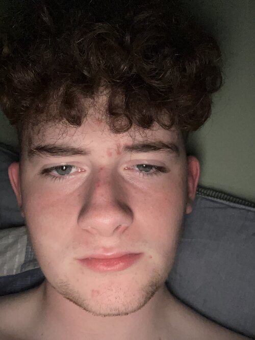 image.jpg
