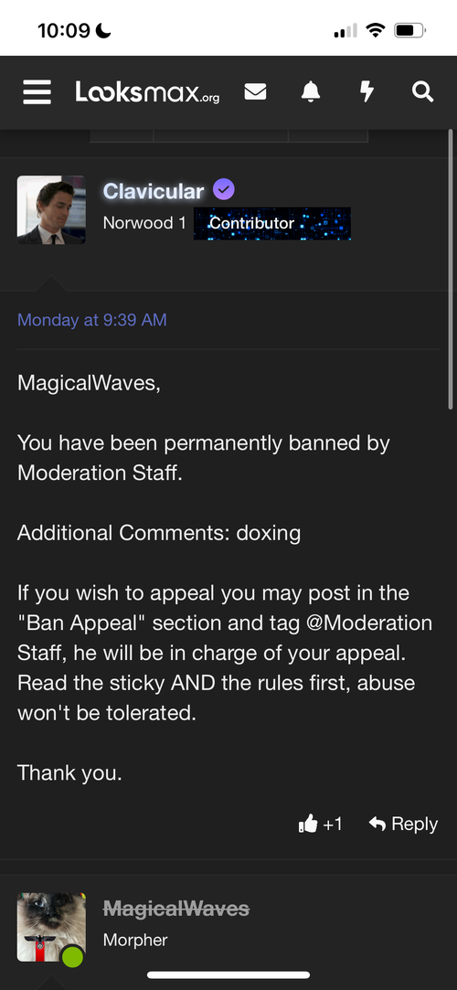 IMG_3602.png