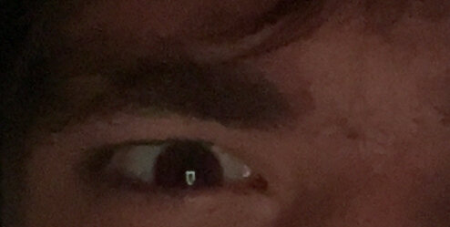 IMG_2654.jpeg