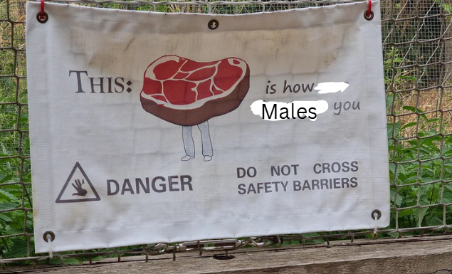 1757171396901.png