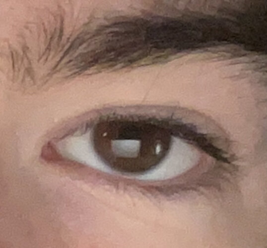 IMG 1604