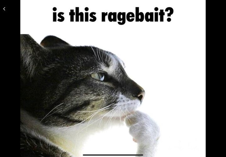 305c05e7-601c-4326-ad0a-9dc63ad9c5a2.jpeg