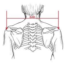antropometri-biacromial.jpg