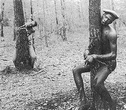 The_Lynching_of_Roosevelt_Townes_and_Robert_McDaniels.jpg
