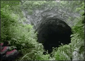 7457858568
