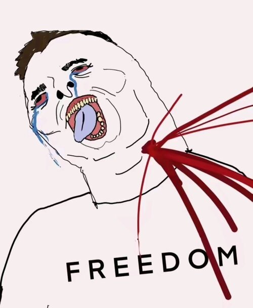5324248 freddom