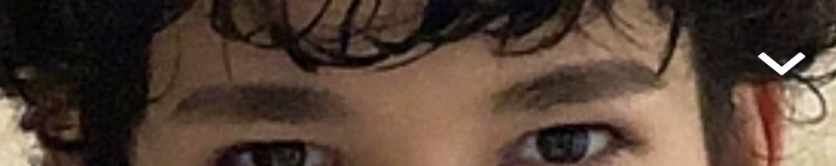 IMG_2297.jpeg