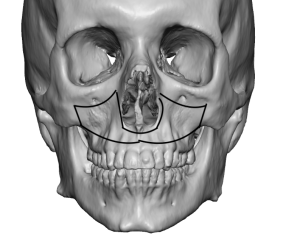 IMG_2817.png