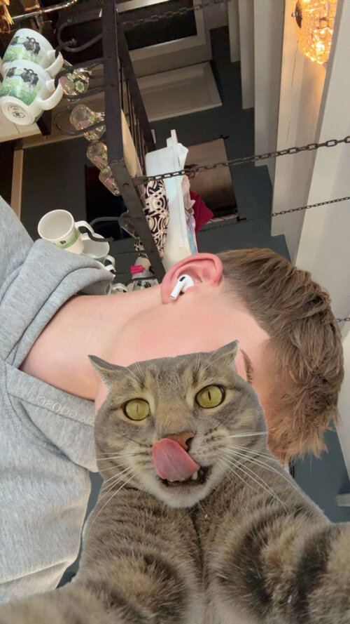 IMG 1340
