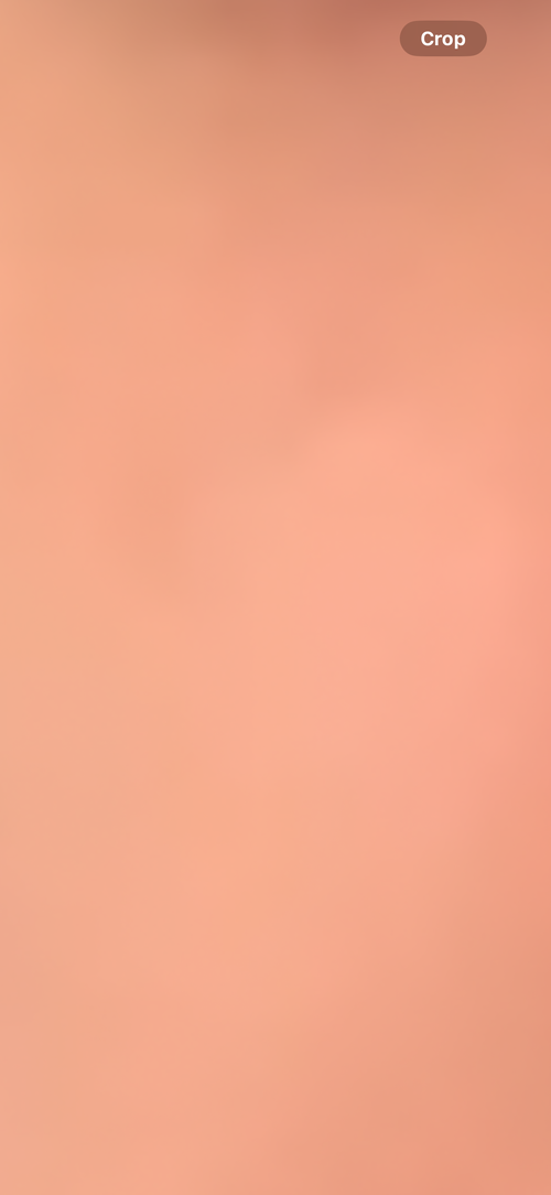 IMG_3397.png