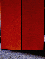 image (2).gif