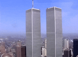 image (3).gif